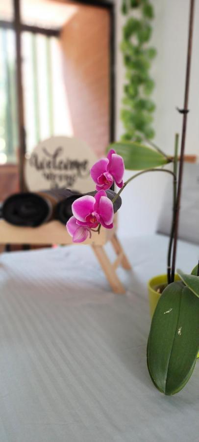 Moradia Laureles Medellin Apartman Kültér fotó