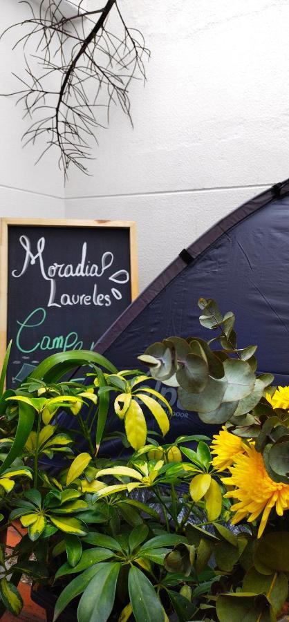 Moradia Laureles Medellin Apartman Kültér fotó